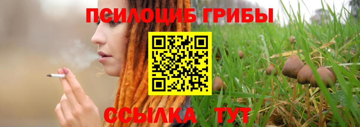 Галлюциногенные грибы прущие грибы Электрогорск